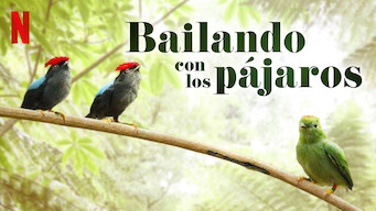 Bailando con los pájaros (2019)