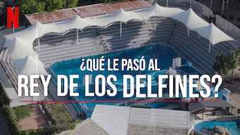 ¿Qué le pasó al rey de los delfines? (2022)