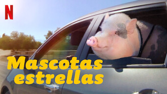 Mascotas estrellas (2021)