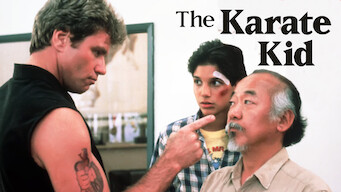 Karate Kid (1984)