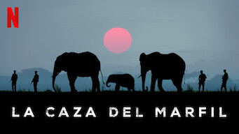 La caza del marfil (2016)