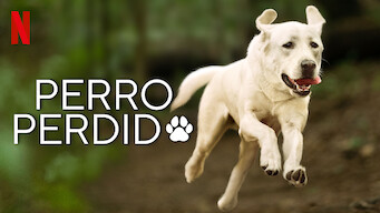 Perro perdido (2023)