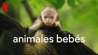 Animales bebés (2022)