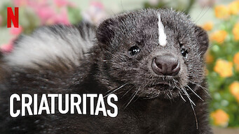 Fauna minúscula (2020)