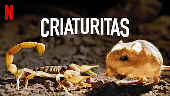 Fauna minúscula (2020)